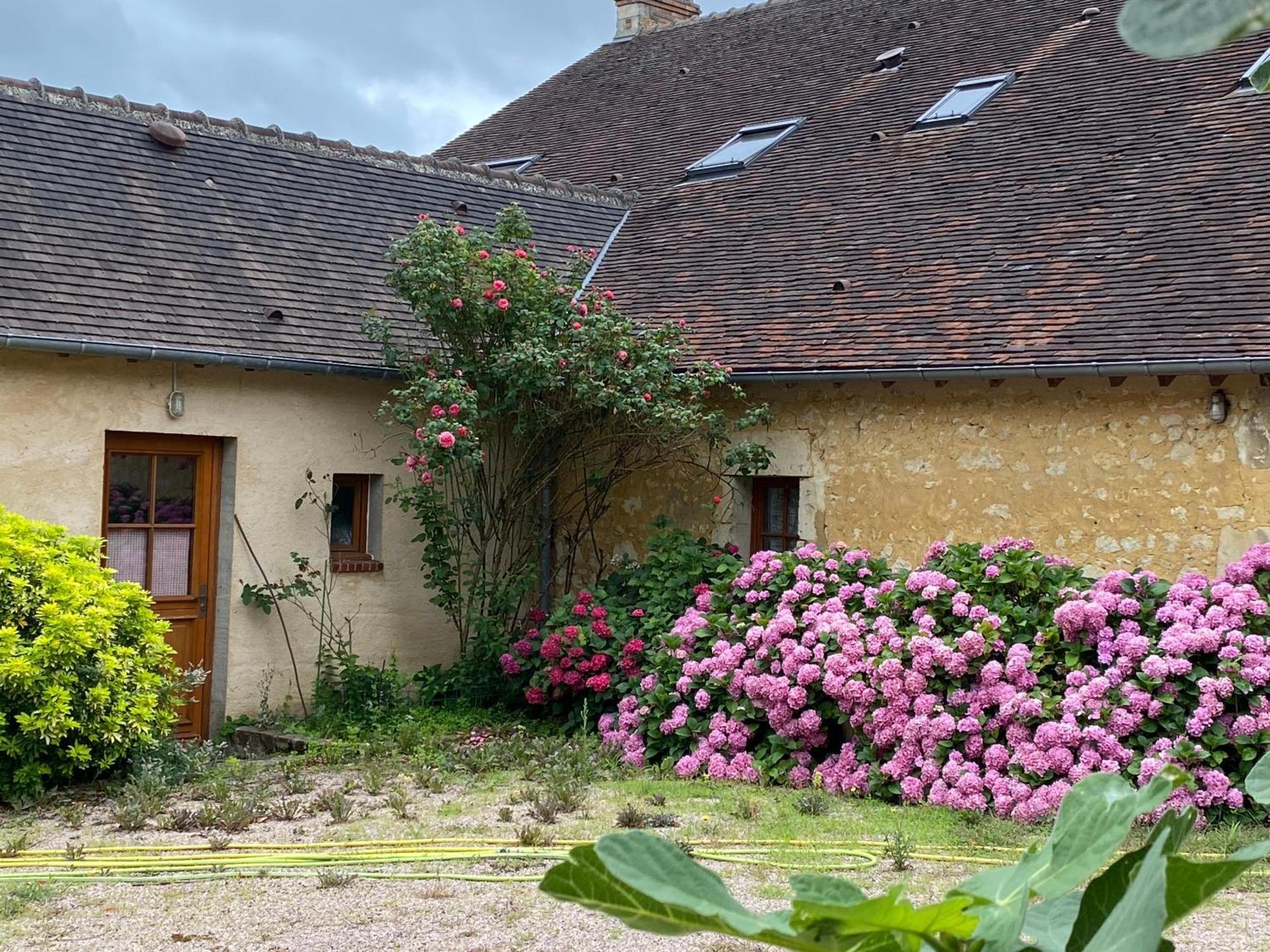 Chambre D'Hotes Du Domaine De La Haute Poignandiere Saint-Germain-de-la-Coudre Exteriör bild
