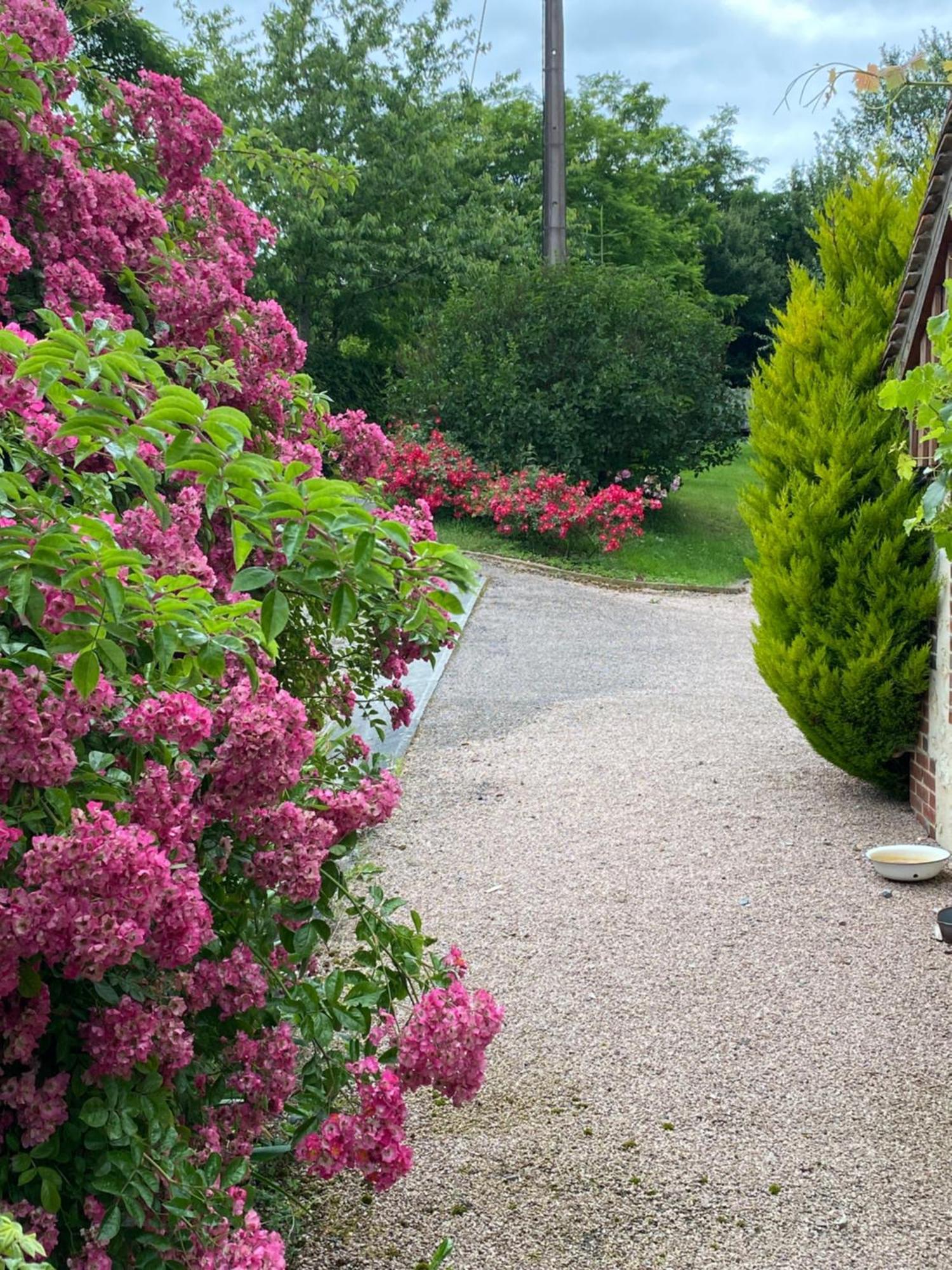 Chambre D'Hotes Du Domaine De La Haute Poignandiere Saint-Germain-de-la-Coudre Exteriör bild